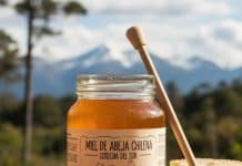 miel de abeja chilena