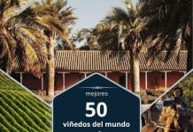 viñedos chilenos mejores del mundo