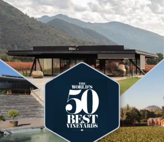 enoturismo en chile
