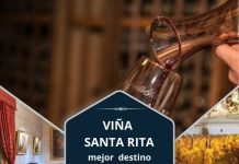 Viñedo del valle de Maipo ocupa el primer puesto en ranking mundial Viña Santa Rita mejor destino vitivinicola del mundo