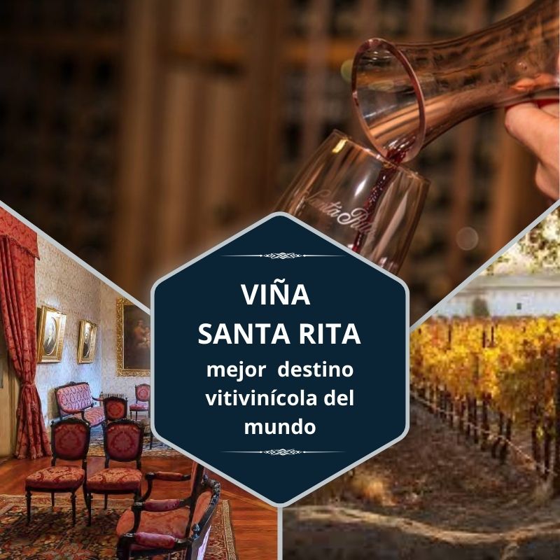Viñedo del valle de Maipo ocupa el primer puesto en ranking mundial 1 Vina Santa Rita mejor destino vitivinicola del mundo