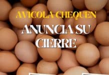 Avícola Chequén anuncia su cierre conoce su historia 1