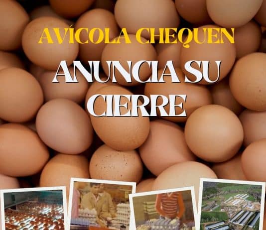 Avícola Chequén anuncia su cierre conoce su historia 1