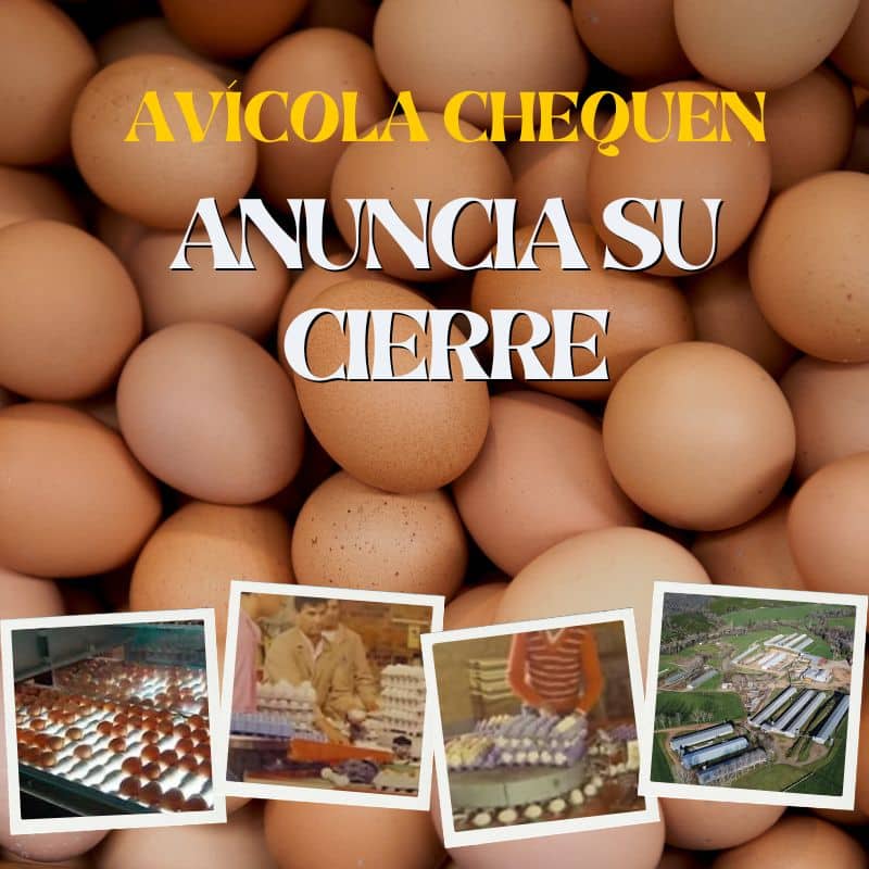 Avicola Chequen anuncia su cierre conoce su historia 1