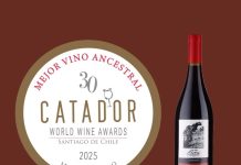 Ñuble arrasa en Catad’Or 2025: vino campesino del Itata se corona como el mejor ancestral del mundo Mejor vino ancestral