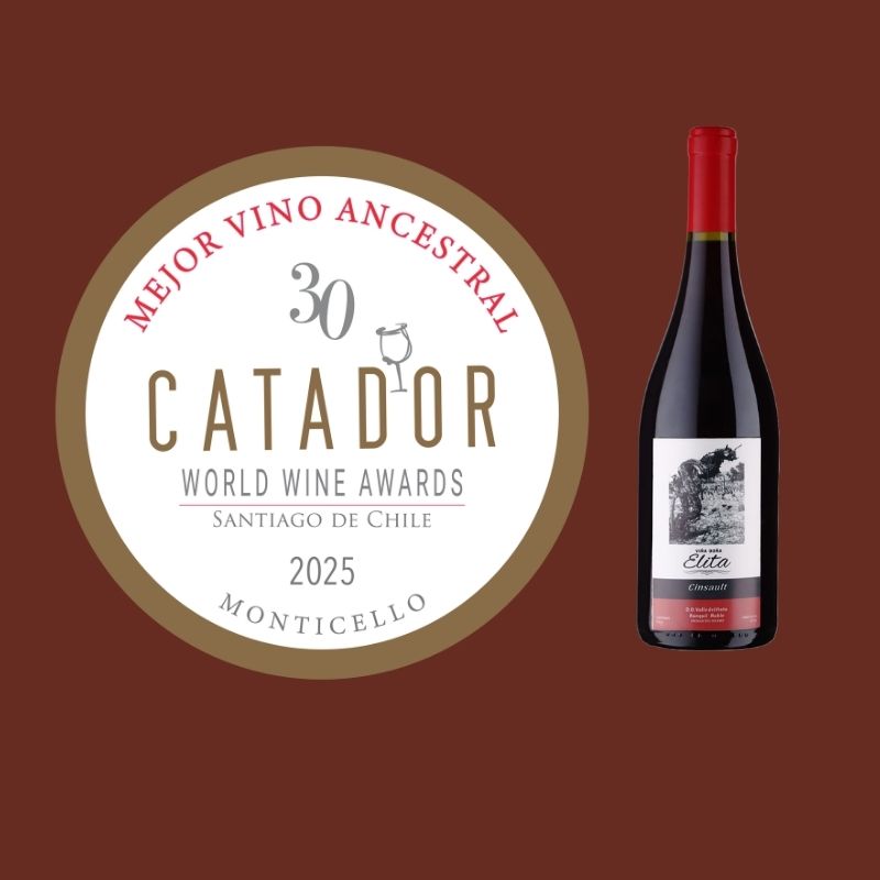 Ñuble arrasa en Catad’Or 2025: vino campesino del Itata se corona como el mejor ancestral del mundo 1 Mejor vino ancestral