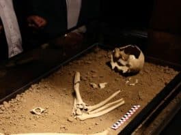El hombre de los Vilos