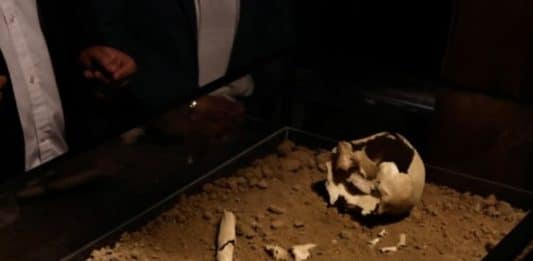El hombre de los Vilos