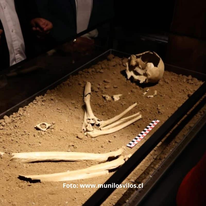 El hombre de los Vilos