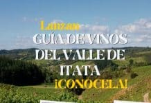 lanzan guía de vinos del valle de itata