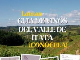 lanzan guía de vinos del valle de itata