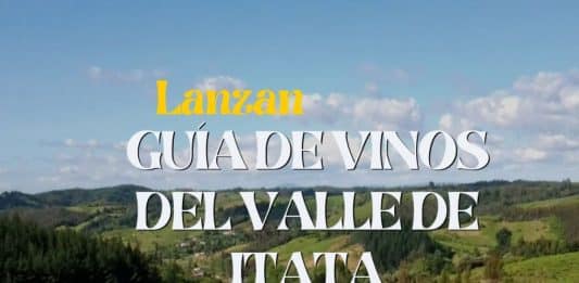lanzan guía de vinos del valle de itata