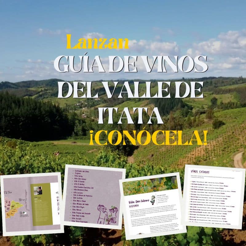 lanzan guia de vinos del valle de itata