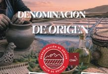 denominacion de origen chile