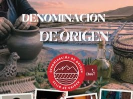 denominacion de origen chile