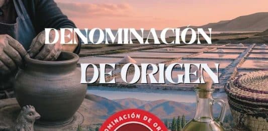 denominacion de origen chile