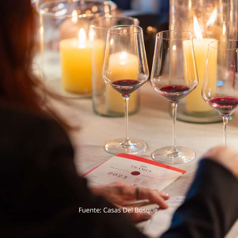 Vinos premium chilenos Casas del Bosque