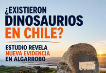 ¿Existieron dinosaurios en Chile? Estudio revela nueva evidencia en Algarrobo Dinosaurios en Chile