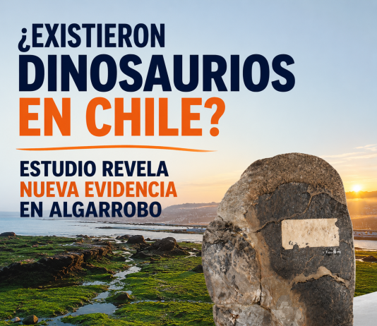 ¿Existieron dinosaurios en Chile? Estudio revela nueva evidencia en Algarrobo Dinosaurios en Chile